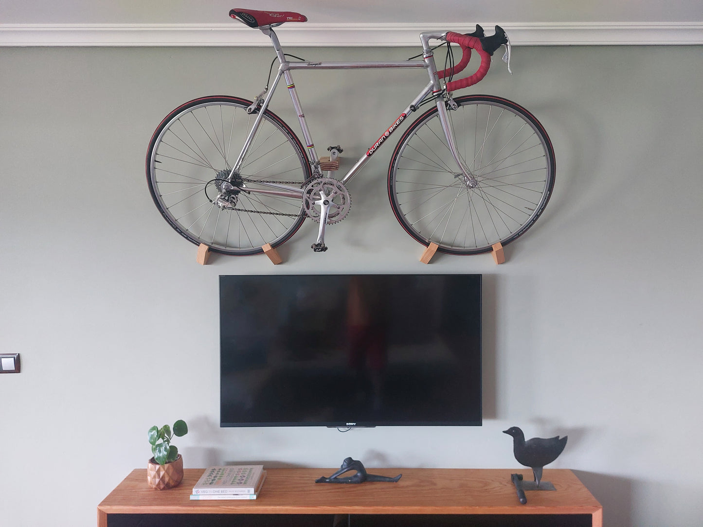 Bike Wall Mount - Only 1 screw fixing