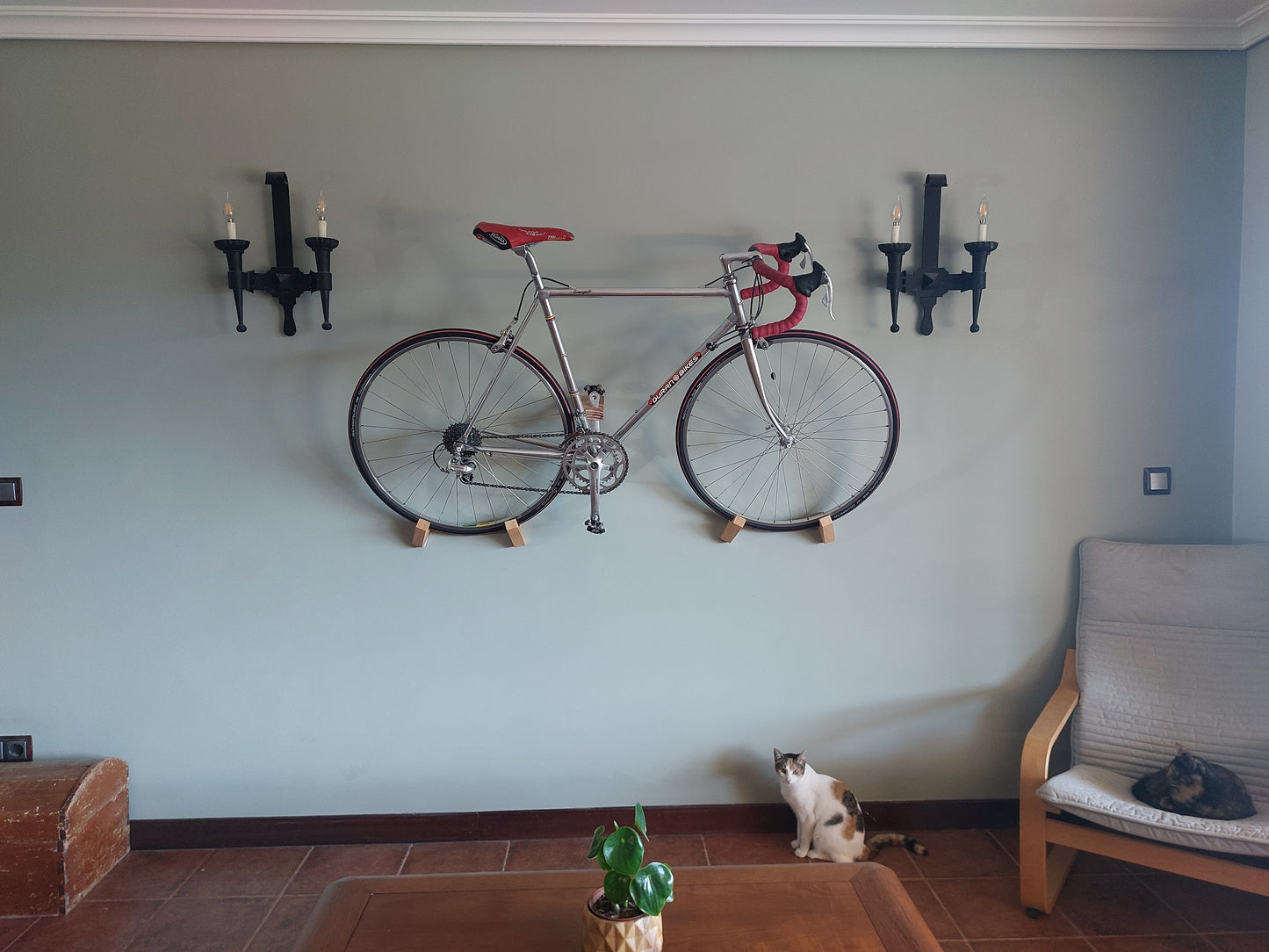 Bike Wall Mount - Only 1 screw fixing